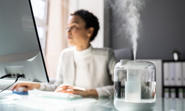 Symbolbild: Die besten Luftbefeuchter im Test: So finden Sie das ideale Modell